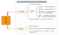 TP观察钱包转正常钱包的全面指南