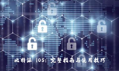 比特派 iOS: 完整指南与使用技巧