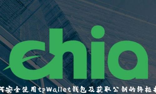 如何安全使用tpWallet钱包及获取公钥的终极指南