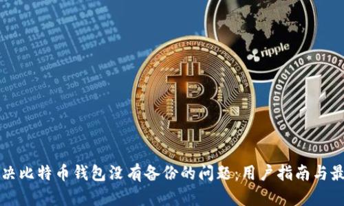 如何解决比特币钱包没有备份的问题:用户指南与最佳实践
