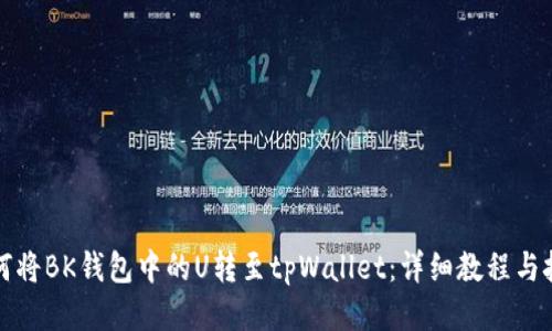 如何将BK钱包中的U转至tpWallet:详细教程与技巧