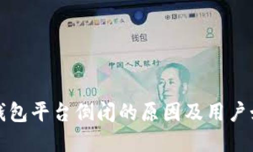 虚拟币钱包平台倒闭的原因及用户如何应对