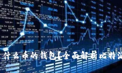 jiaoti比特派是什么币的钱包？全面解析比特派的功能与优势
