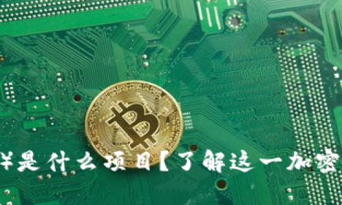 派币（Pi Network）是什么项目？了解这一加密货币的背景与未来