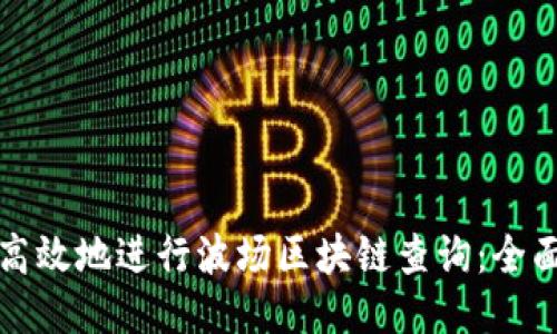 如何高效地进行波场区块链查询：全面指南