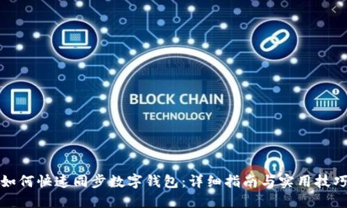 如何快速同步数字钱包：详细指南与实用技巧