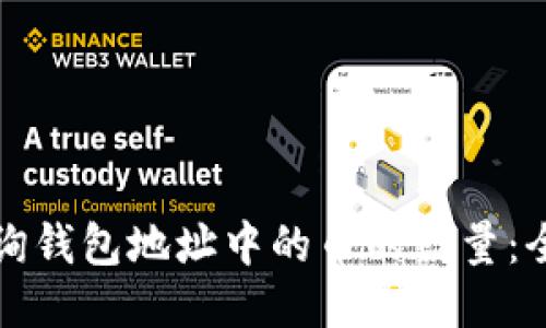 如何查询钱包地址中的币的数量：全面指南