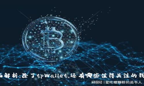 全面解析：除了tpWallet，还有哪些值得关注的钱包？