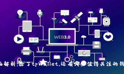 全面解析：除了tpWallet，还有哪些值得关注的钱包？