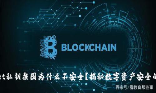 tpWallet私钥截图为什么不安全?揭秘数字资产安全的重要性
