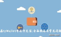 如何在tpWallet中进行充值：全面指南与
