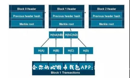 如何选择最适合你的比特币钱包APP:深入解析与推荐