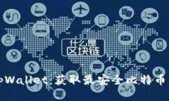 下载中本聪tpWallet：获取最安全比特币