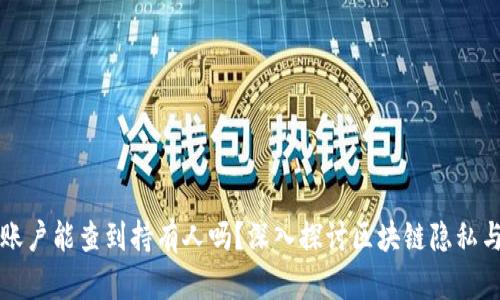 虚拟币账户能查到持有人吗?深入探讨区块链隐私与透明性