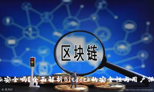 Bitdock安全吗?全面解析Bitdock的安全性与用户保护措施
