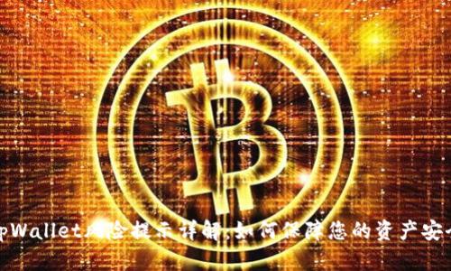 tpWallet风险提示详解:如何保障您的资产安全