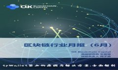 tpWallet禁止的原因与解决方案：全面解