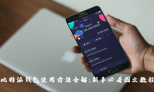 比特派钱包使用方法全解:新手必看图文教程