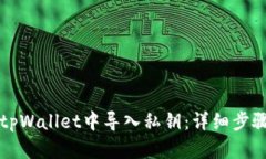 如何在tpWallet中导入私钥：详细步骤与