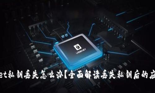 tpWallet私钥丢失怎么办?全面解读丢失私钥后的应对措施