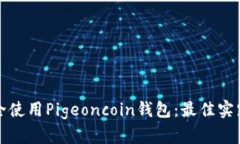 如何安全使用Pigeoncoin钱包：最佳实践
