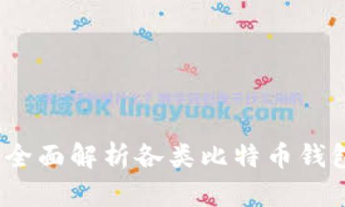 比特币钱包大全：全面解析各类比特币钱包选择与使用指南