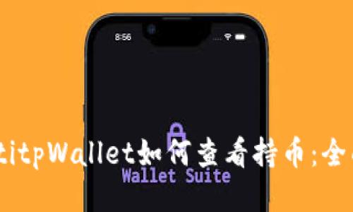 biatotitpWallet如何查看持币:全面指南