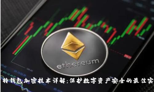 莱特钱包加密技术详解:保护数字资产安全的最佳实践