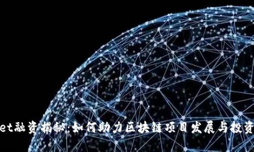 tpWallet融资揭秘:如何助力区块链项目发展与投资者机遇