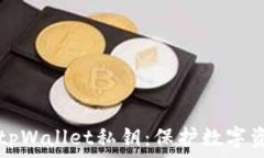  如何安全管理tpWallet私钥：保护数字资