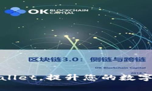 如何使用tpWallet,提升您的数字资产管理体验