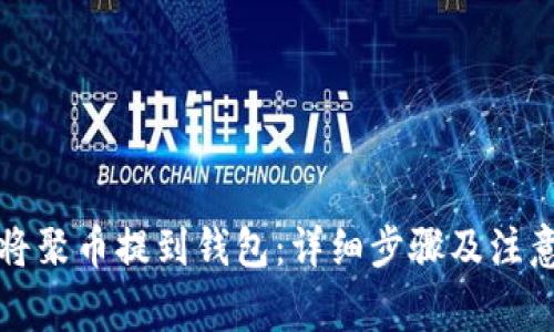 如何将聚币提到钱包:详细步骤及注意事项