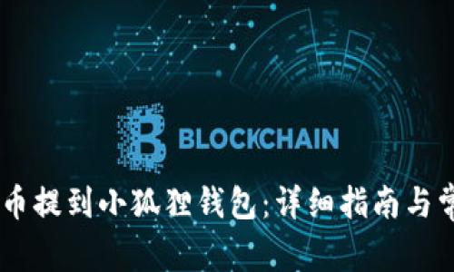 如何将CORE币提到小狐狸钱包:详细指南与常见问题解答