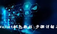 : 全面解析tpWallet抓包教程：步骤详解