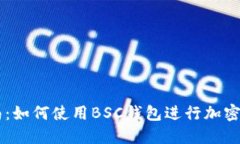 新手指南：如何使用BSC钱包进行加密货