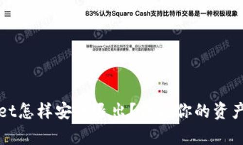 tpWallet怎样安全退出?保护你的资产和隐私