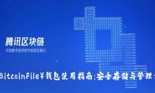 比特币文件（BitcoinFile）钱包使用指南：安全存储与管理你的数字资产