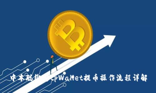 中本聪绑定tpWallet提币操作流程详解