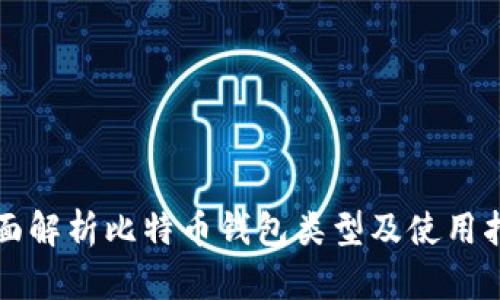 全面解析比特币钱包类型及使用指南