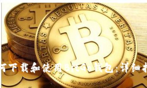 如何下载和使用BitGo钱包:详细指南