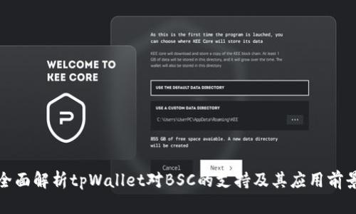 全面解析tpWallet对BSC的支持及其应用前景