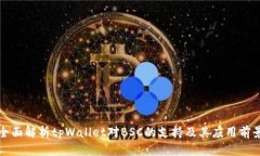 全面解析tpWallet对BSC的支持及其应用前