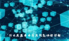 什么是基本币及其钱包功能详解