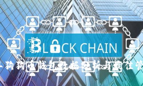 2023年狗狗币钱包数据分析与最佳管理策略