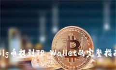 Big币提到TP Wallet的完整指南
