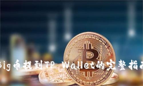 Big币提到TP Wallet的完整指南