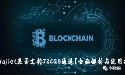 tpWallet是否支持TRC20通道？全面解析与使用指南