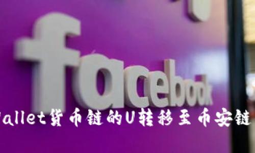 如何将tpWallet货币链的U转移至币安链的详细指南