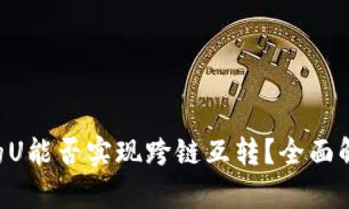 tpWallet里的U能否实现跨链互转?全面解析与用户指南