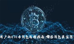适合用户的ETC币钱包选择指南：哪些钱